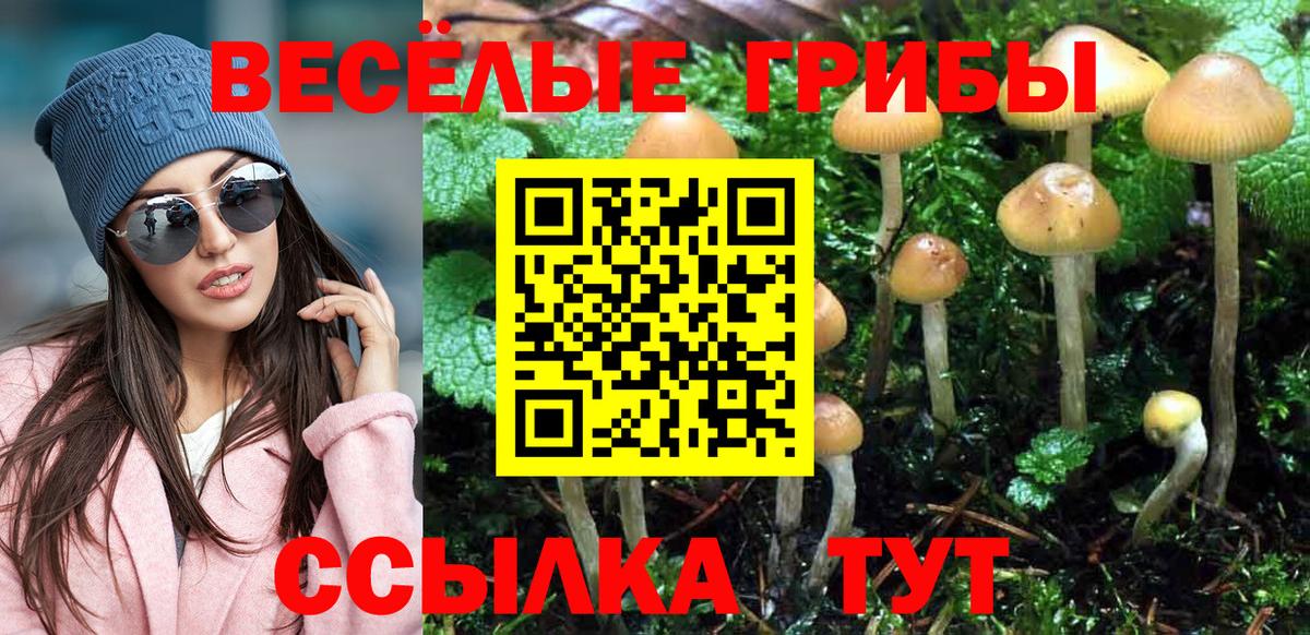 Псилоцибиновые грибы ЛСД Анапа